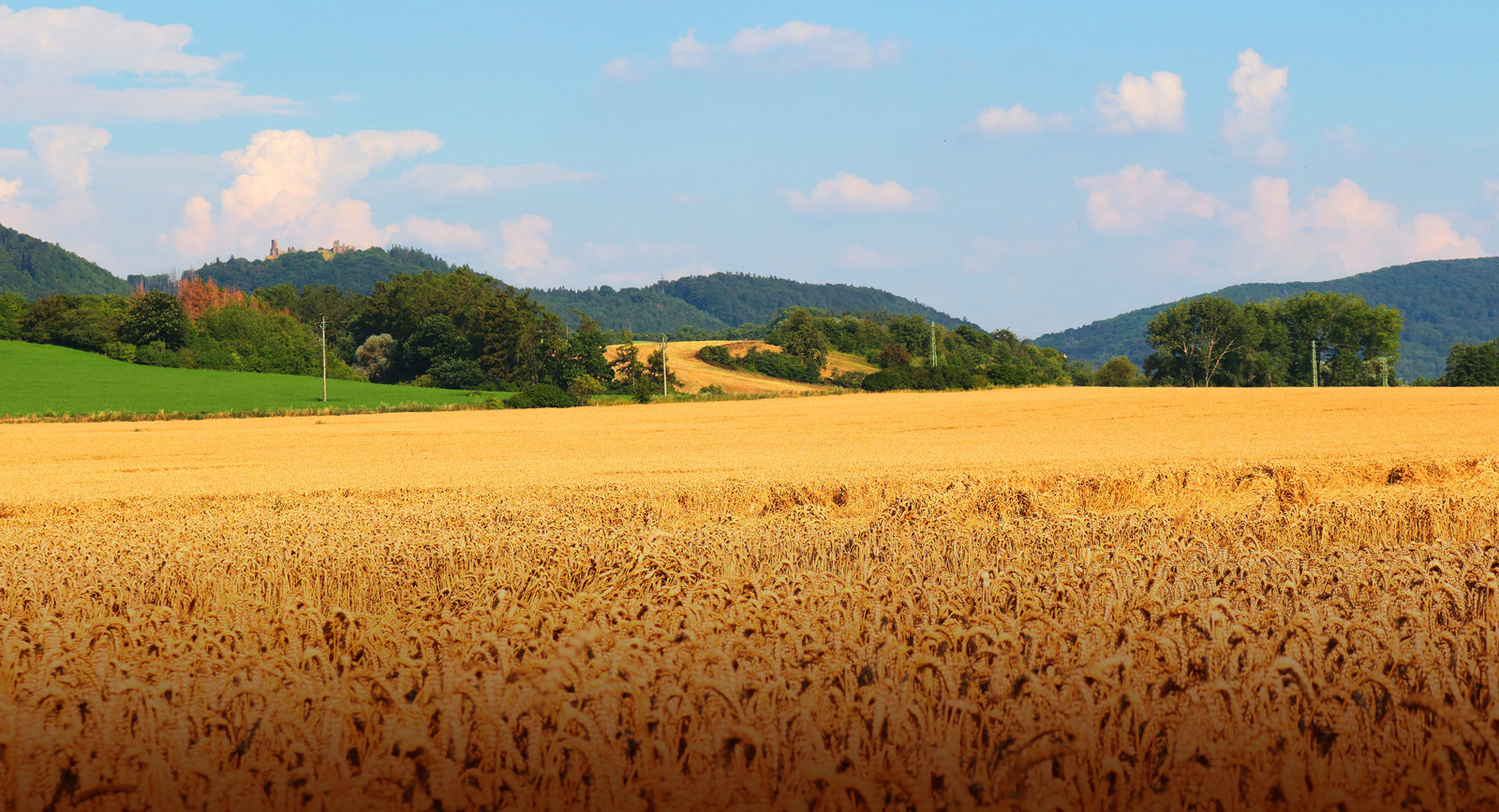 MAS eleznohorsk region